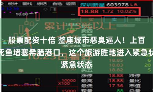 股票配资十倍 整座城市恶臭逼人！上百吨死鱼堵塞希腊港口，这个旅游胜地进入紧急状态
